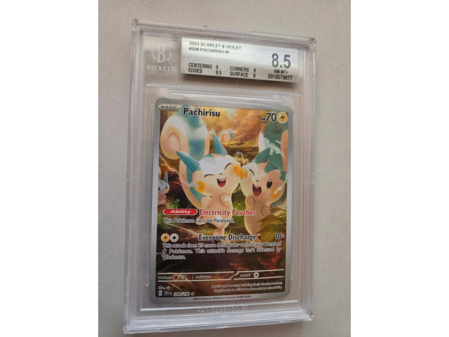 Pachirisu IR EN Beckett Grading 8.5